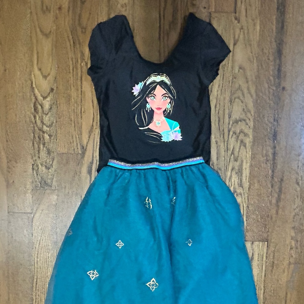Disney Aladdin jasmine costume